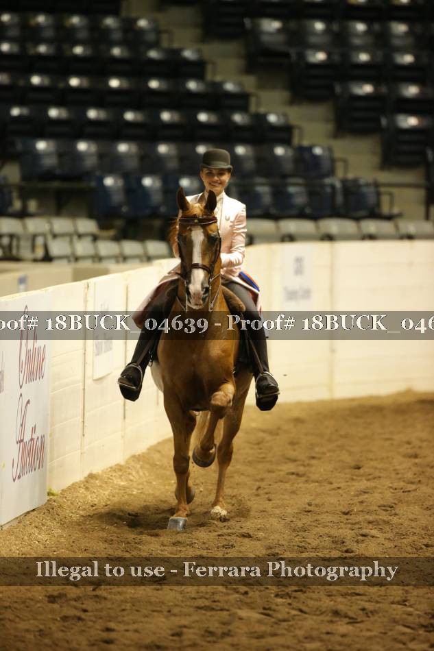 Proof 18BUCK_04639