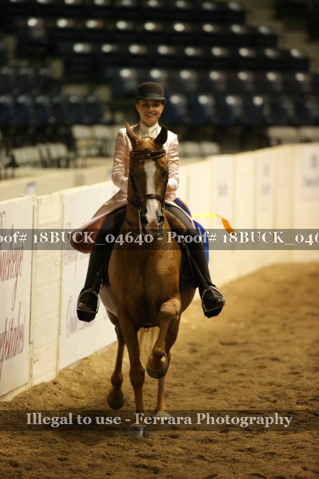 Proof 18BUCK_04640
