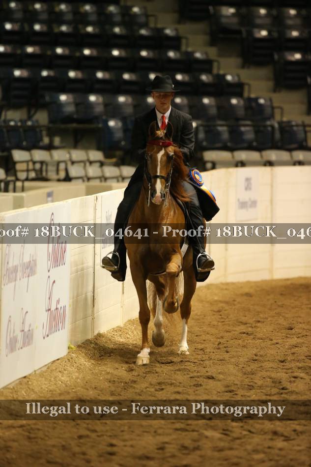 Proof 18BUCK_04641