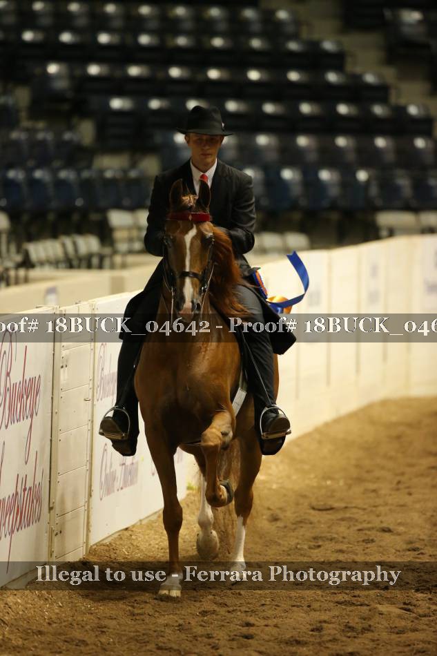 Proof 18BUCK_04642