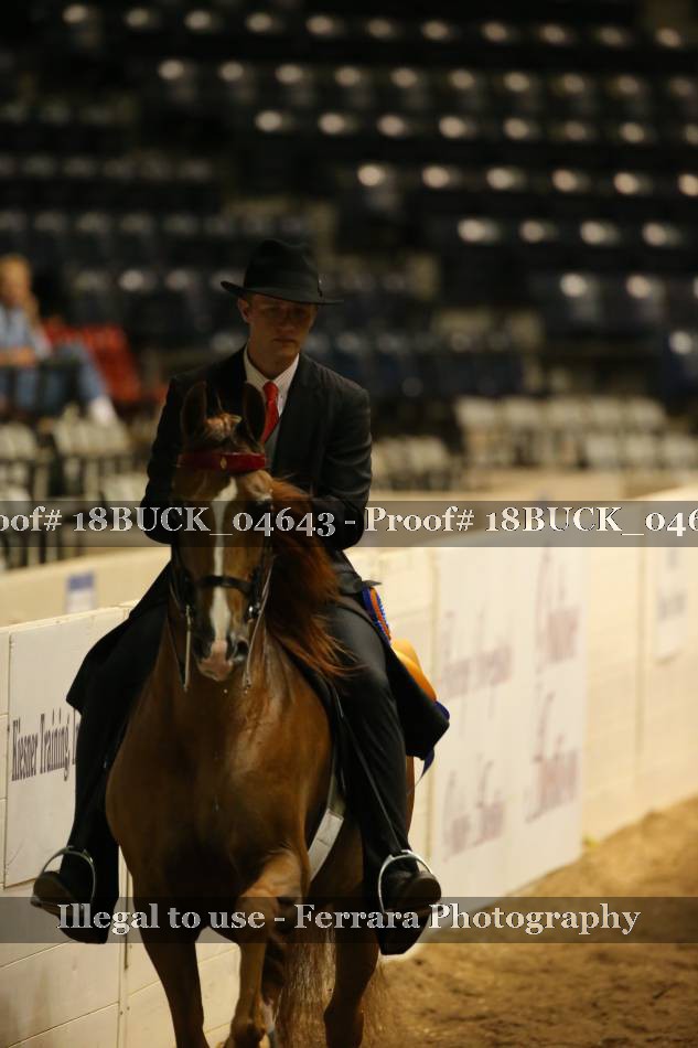Proof 18BUCK_04643
