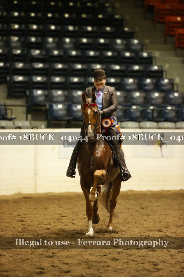 Proof 18BUCK_04644