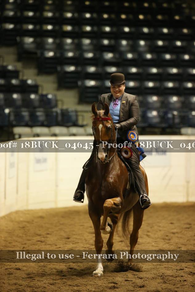 Proof 18BUCK_04645