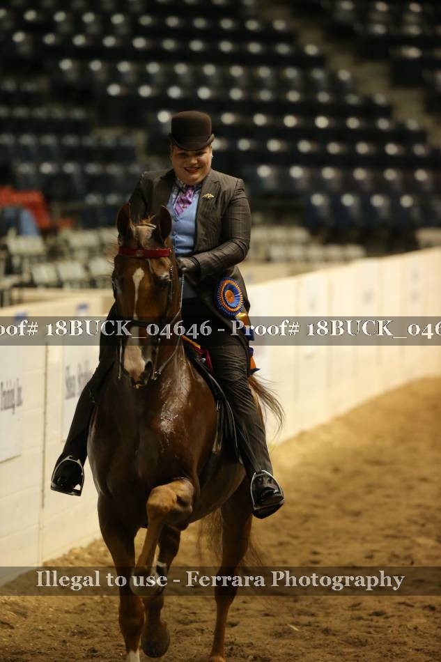 Proof 18BUCK_04646