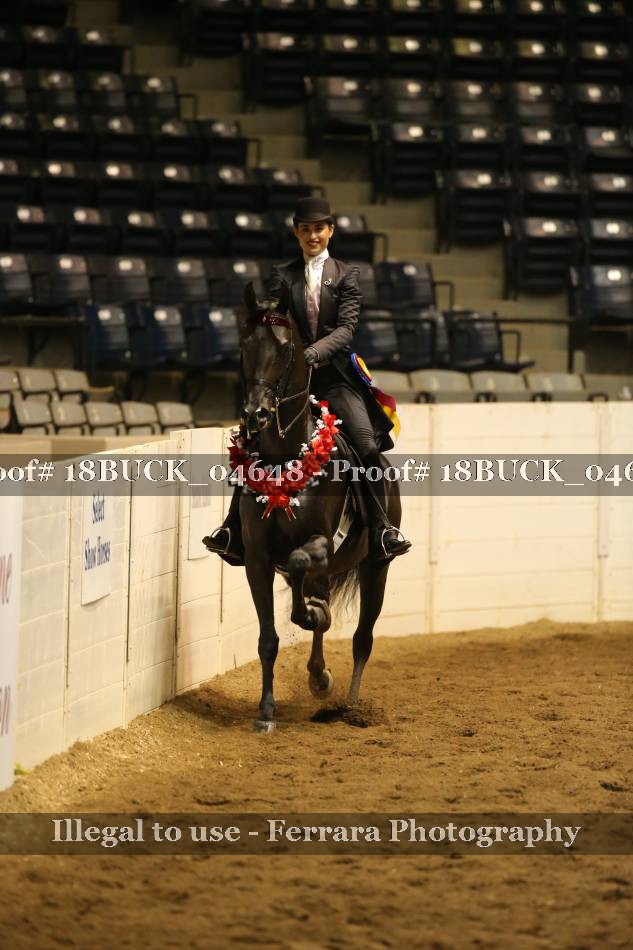Proof 18BUCK_04648