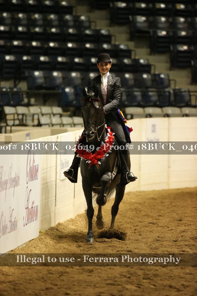 Proof 18BUCK_04649