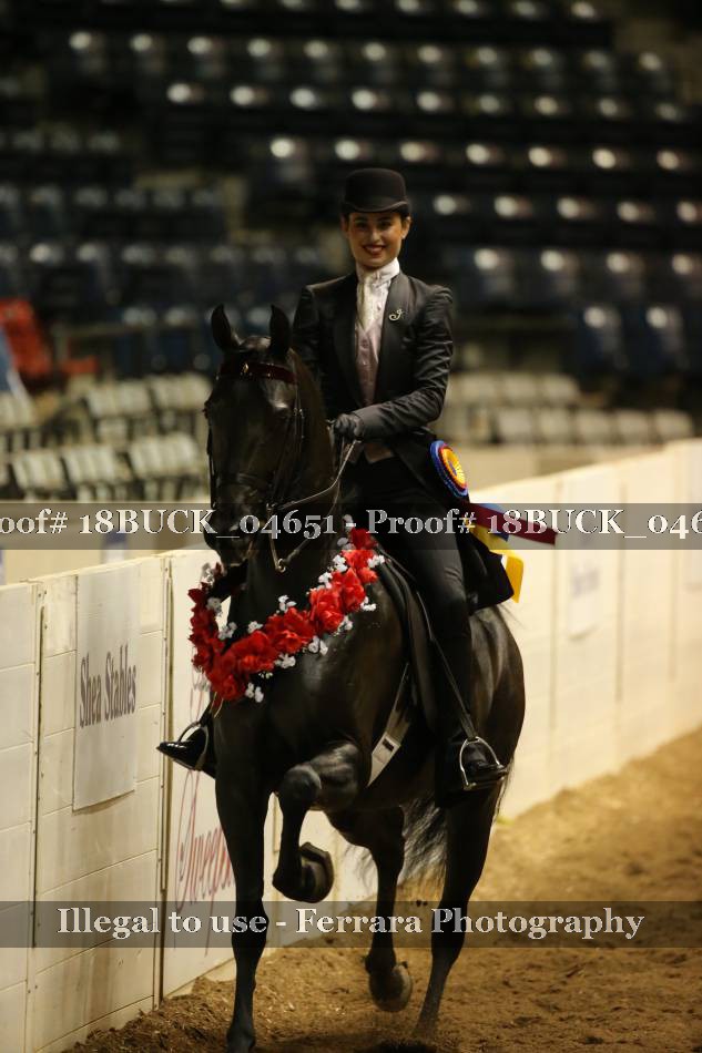 Proof 18BUCK_04651