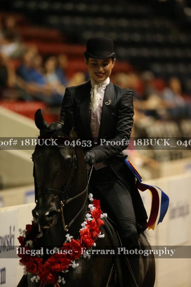 Proof 18BUCK_04653