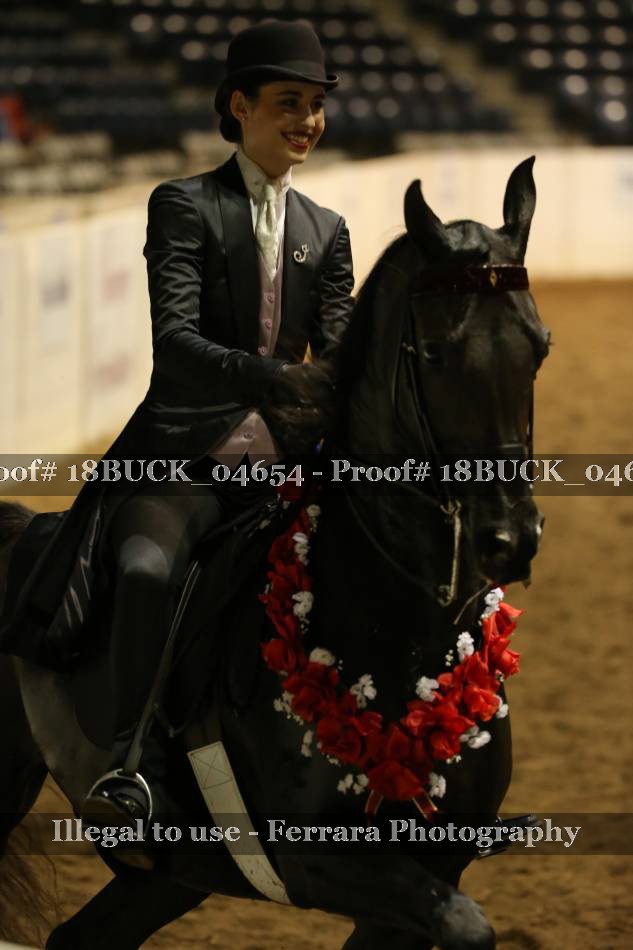 Proof 18BUCK_04654
