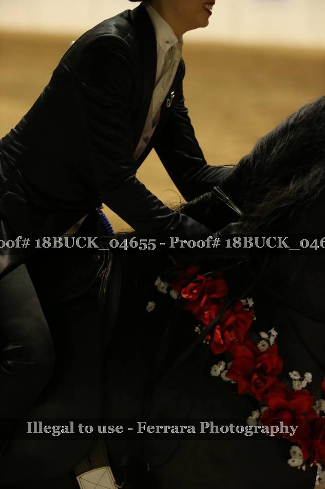 Proof 18BUCK_04655