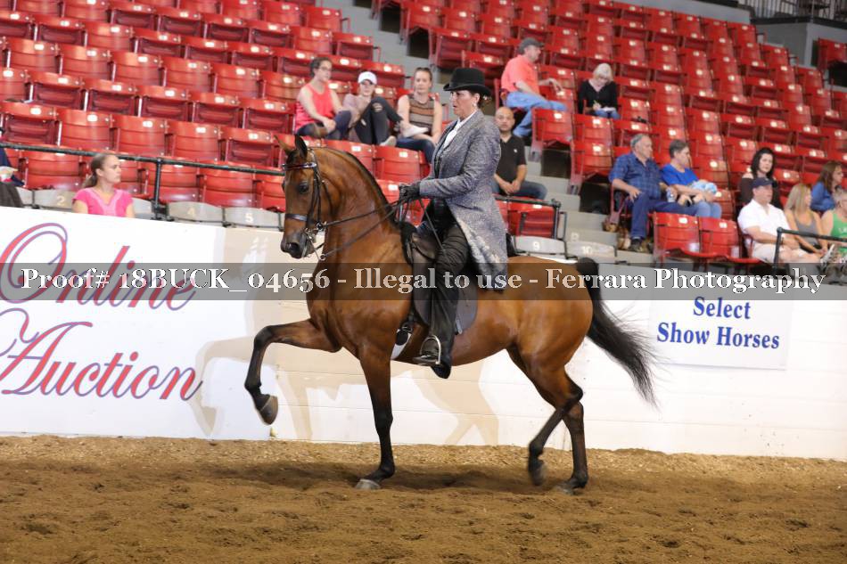 Proof 18BUCK_04656