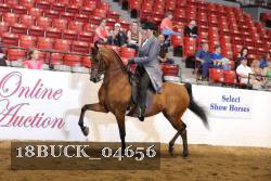 18BUCK_04656 proof