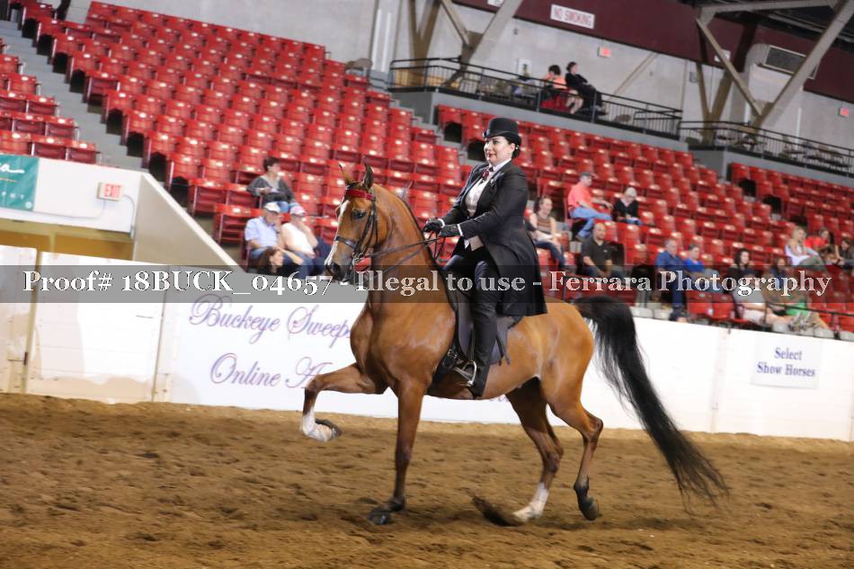 Proof 18BUCK_04657