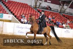18BUCK_04657 proof