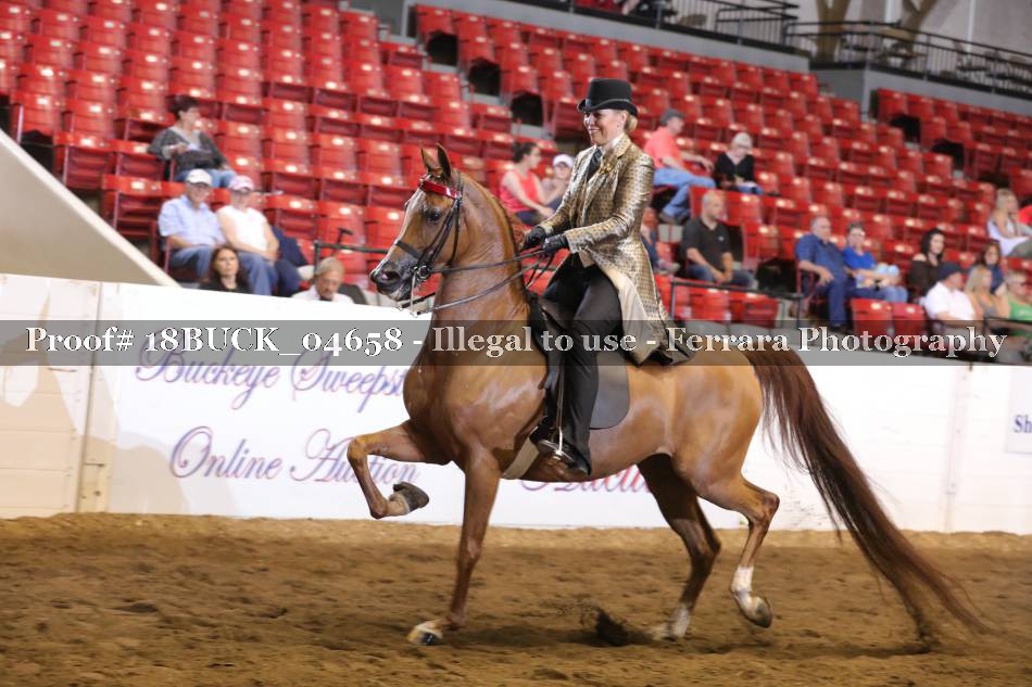 Proof 18BUCK_04658