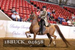 18BUCK_04658 proof