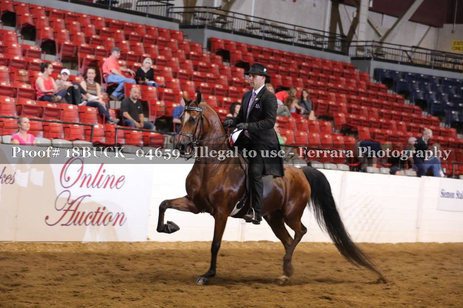 Proof 18BUCK_04659