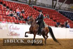 18BUCK_04659 proof