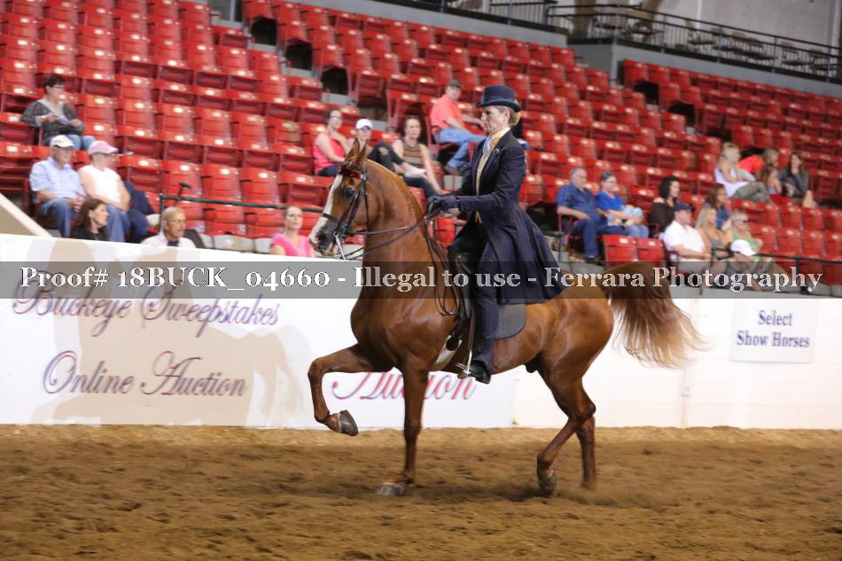 Proof 18BUCK_04660
