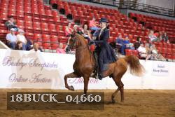 18BUCK_04660 proof