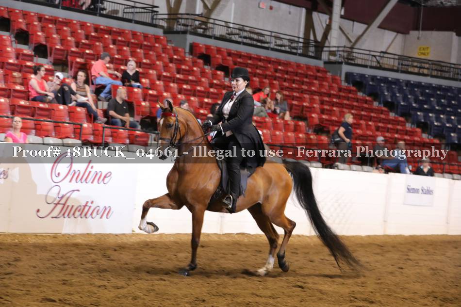 Proof 18BUCK_04661