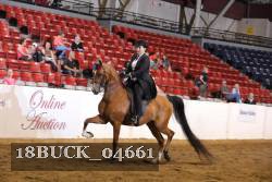 18BUCK_04661 proof