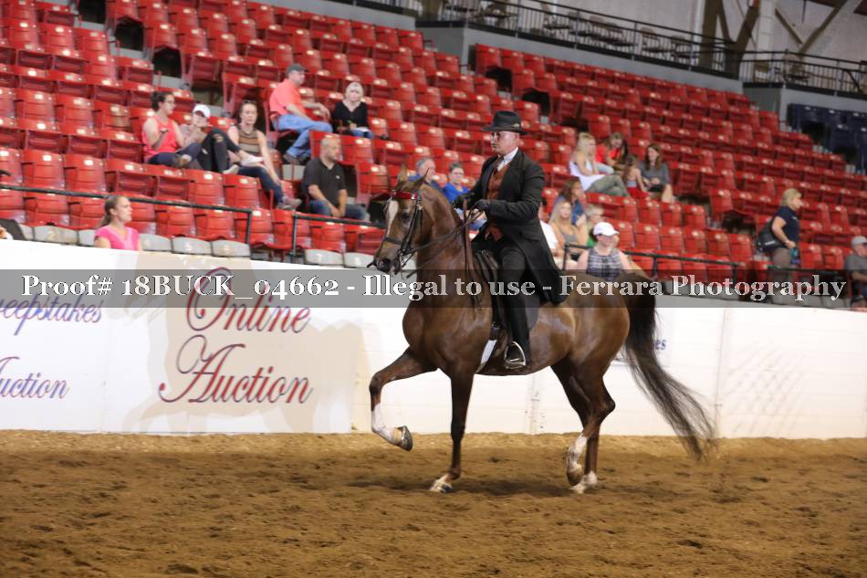 Proof 18BUCK_04662