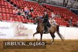 18BUCK_04662 proof