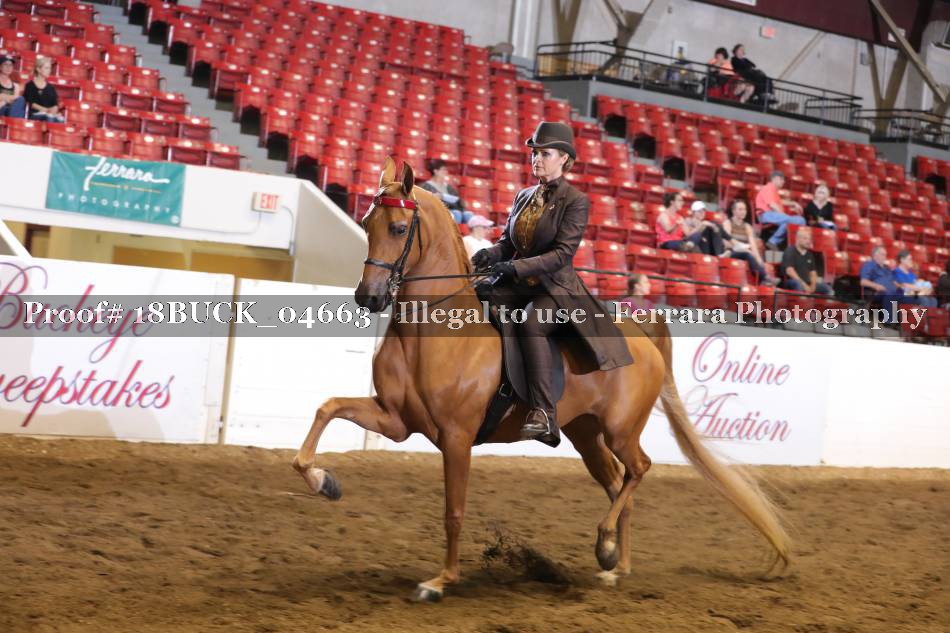 Proof 18BUCK_04663