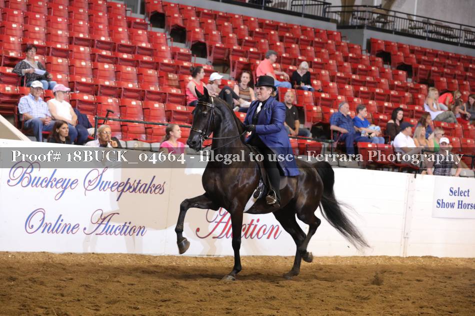 Proof 18BUCK_04664