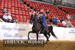 18BUCK_04664 proof