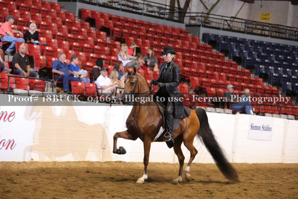 Proof 18BUCK_04665