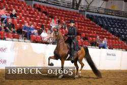 18BUCK_04665 proof