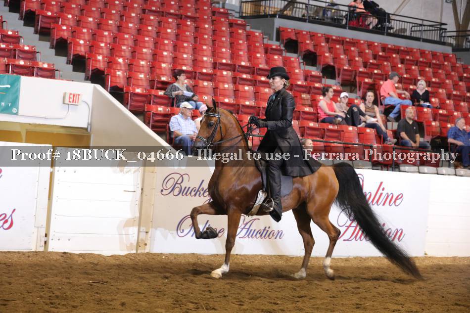 Proof 18BUCK_04666