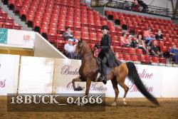 18BUCK_04666 proof