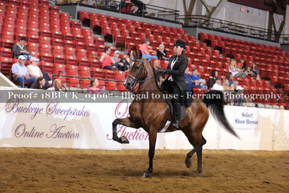 Proof 18BUCK_04667