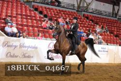 18BUCK_04667 proof