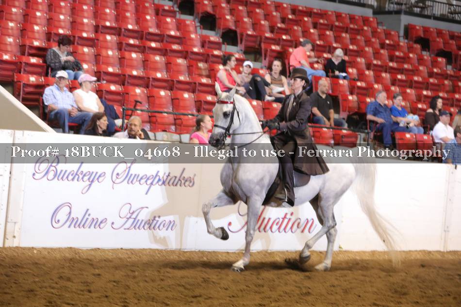 Proof 18BUCK_04668