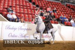 18BUCK_04668 proof