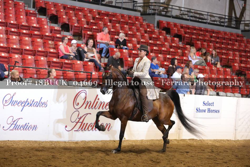 Proof 18BUCK_04669
