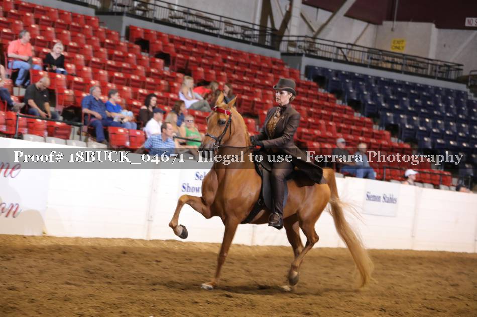 Proof 18BUCK_04671