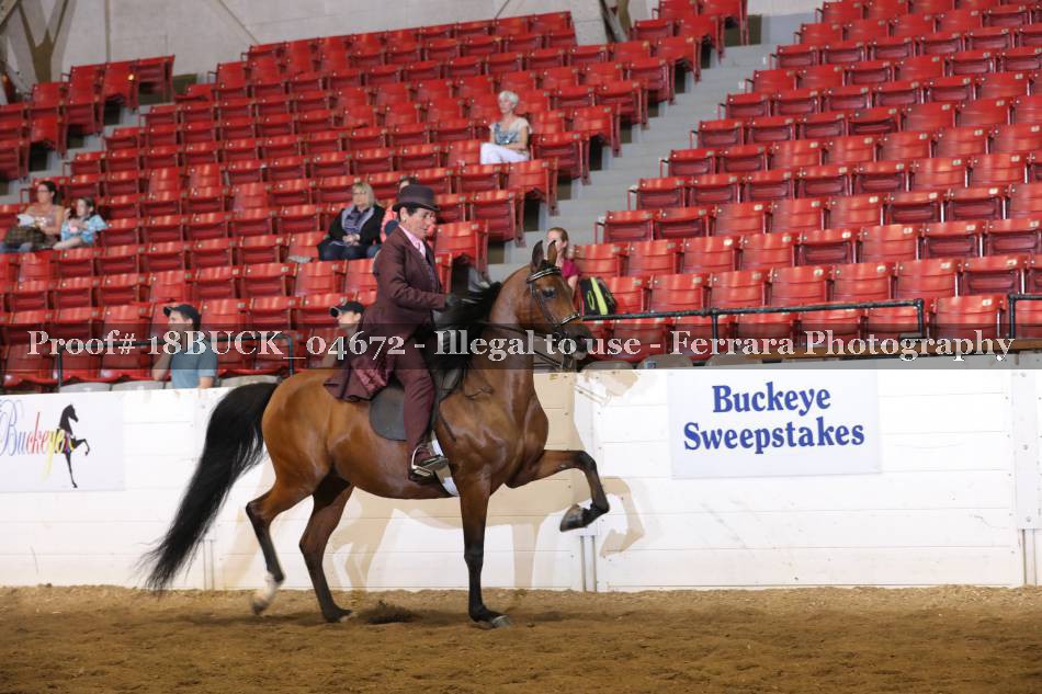 Proof 18BUCK_04672