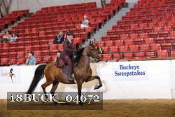 18BUCK_04672 proof
