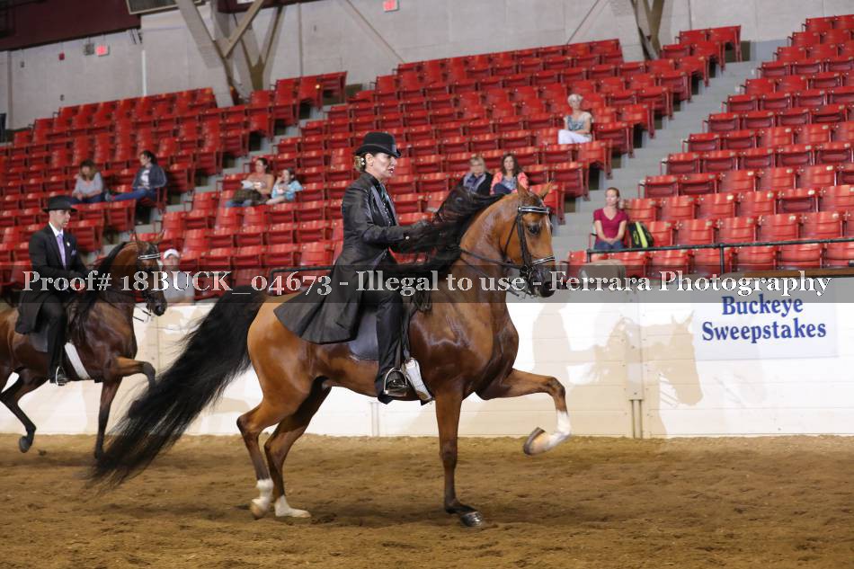 Proof 18BUCK_04673