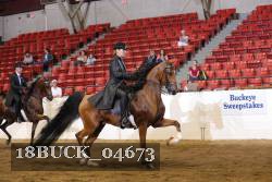 18BUCK_04673 proof