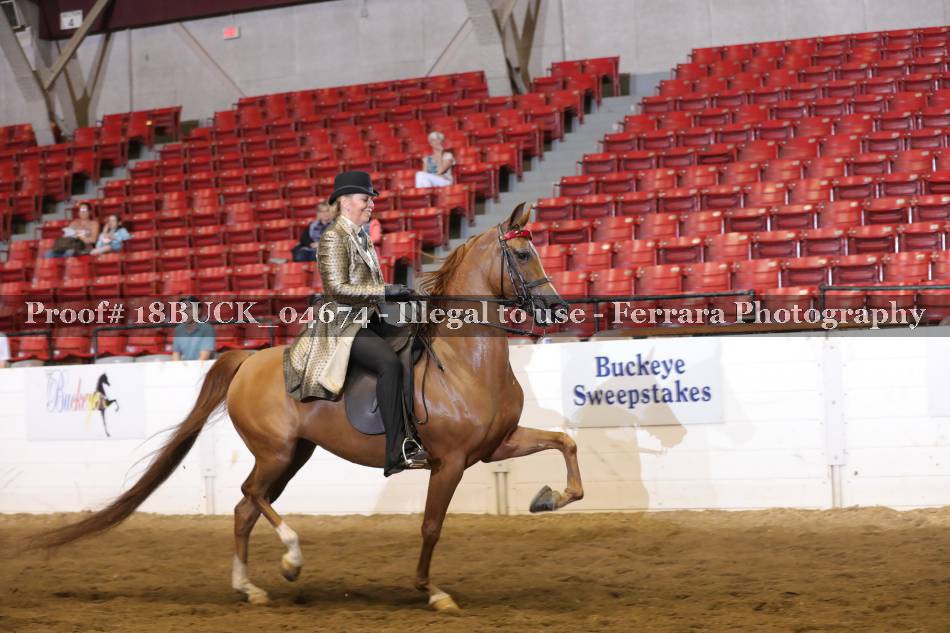 Proof 18BUCK_04674
