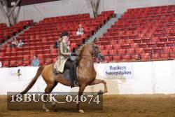 18BUCK_04674 proof