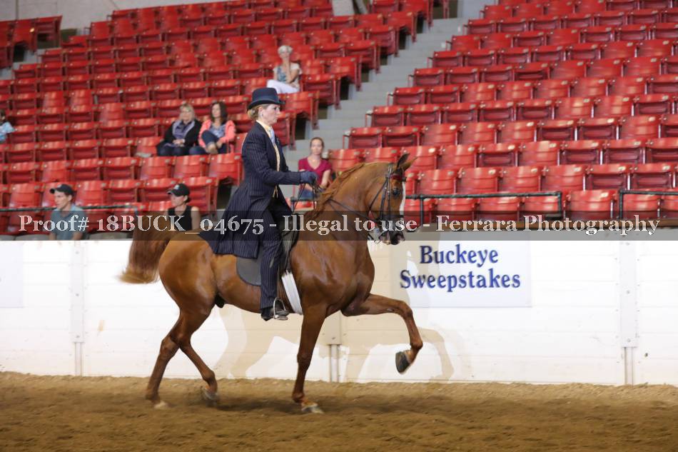 Proof 18BUCK_04675