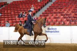 18BUCK_04675 proof