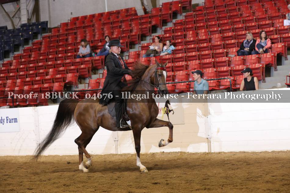 Proof 18BUCK_04676